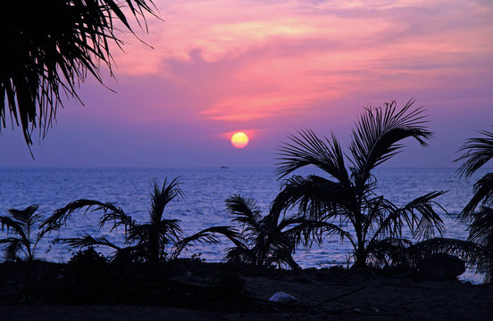 palm trees against the background of sunset over sea, Phuket island