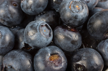 Blueberries.