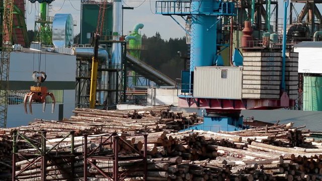 Modern lumber factory Crane load log trucks
