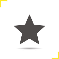 Star mark icon