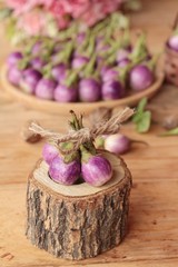 fresh purple eggplant for healthy and delicious.