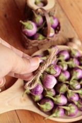 fresh purple eggplant for healthy and delicious.