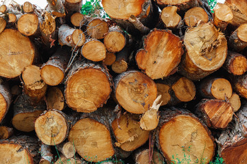 Wooden logs background