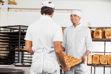 Smiling Baker's Carrying Bread Loaves In Tray