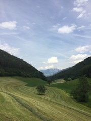 Obraz premium frisch gemähte wiese in den bergen