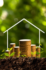 Money growing in soil with house.