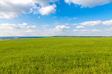 Naklejka na ściany i meble Beatiful green field with blue sky