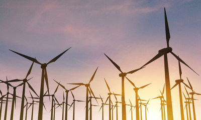 Fototapeta premium Backlit windmills