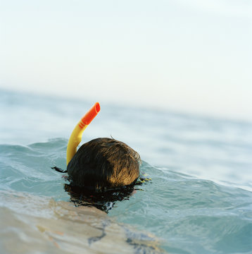 Rear view of man with snorkel in sea