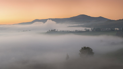 Fototapeta premium Morning Landscape with Fog