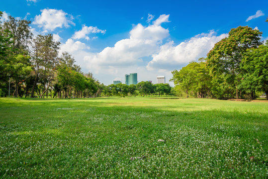 Green Lawn With Blue Sky In Park