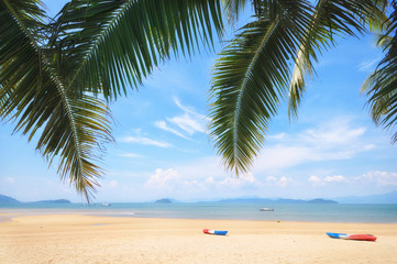 Obraz na płótnie Canvas Coconut palm leaves and tropical beach background, happy summer holiday concept