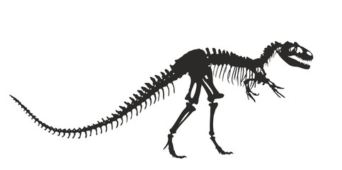 Skeleton of  dinosaur. 