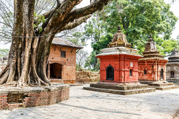 Pashupatinath hindus sacred place