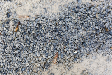 Pebbles and puddle background
