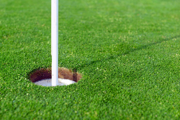Putting Green and flagstick on golf course - 111814197