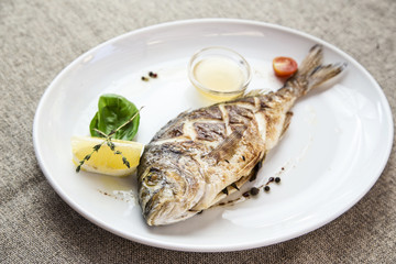 dorado grilled on a plate