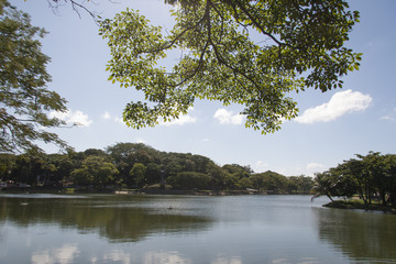 Lagoon of illusions, Tomas Garrido Canabal Park, Villahermosa, Tabasco, Mexico.