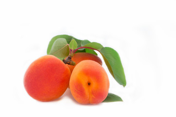 Apricots Isolated On white