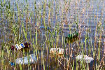 garbage in the lake
