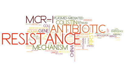 MCR-1 Antibiotic Resistance Word Collage