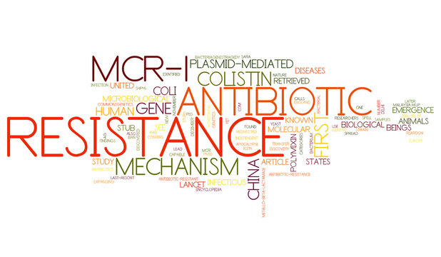 MCR-1 Antibiotic Resistance Word Collage