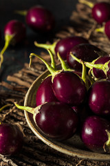 Organic Raw Baby Indian Eggplants