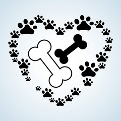 Pet shop design. animal icon. care concept