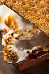 Homemade Gooey Marshmallow S'mores