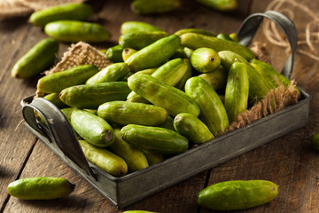 Raw Green Organic Tindora