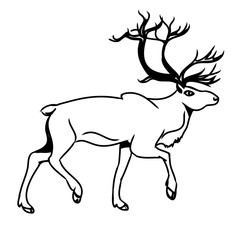 Fototapeta na wymiar Grey deer (contour)2
