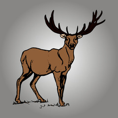 Naklejka na ściany i meble Forest deer figure0