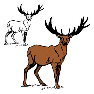 Forest deer figure 1
