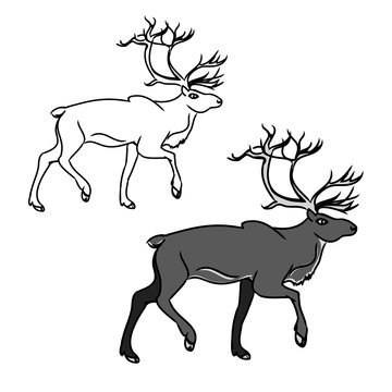 Grey deer (contour)1