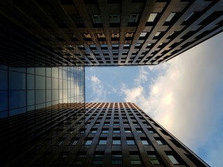 Skyscraper symmetry