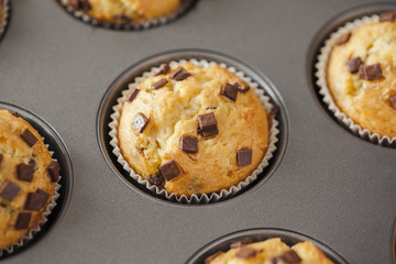 Freshly Baked Muffins