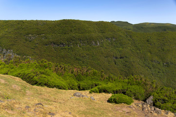 Fototapeta na wymiar Alpine landscape in Madeira Island, Portugal, Europe