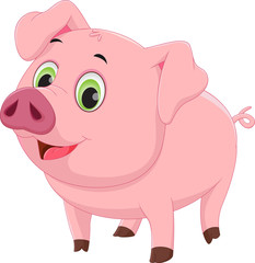 Cute baby pig cartoon