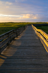 Long Beach Boardwalk Landscape