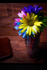 Colorfully Vibrant Dyed Daisies On Wood Background