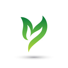 Green Leaf Logo Element