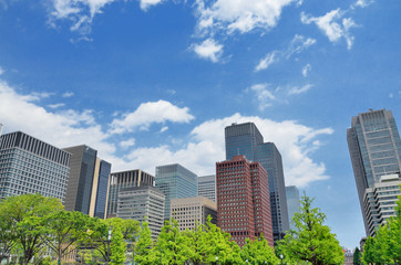 東京　新緑の丸の内オフィスビル街