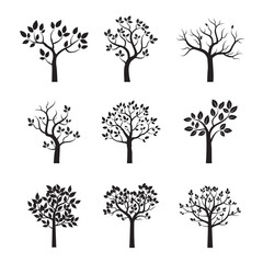 Obraz premium Set of black vector trees. Vector Illustration.