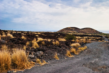 Landscape of Big Island. Hawaii. USA