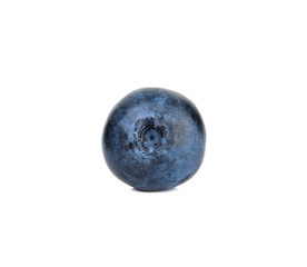 blueberry isolated on the white background