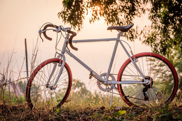 Fototapeta na wymiar Sport Vintage Bicycle