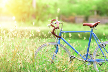 beautiful landscape image with sport vintage Bicycle at summer g