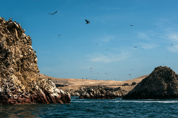 Fototapeta na wymiar Ballestas Islands, Paracas National Reserve. Peru
