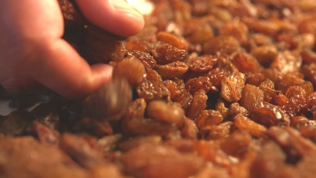 Brown raisins. 2 Shots. Vertical and horizontal pan. Close-up.