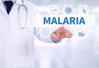 MALARIA - obrazy, fototapety, plakaty